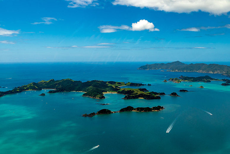 SOLO TRAVELLER: Bay of Islands & Paihia 2 Day Small Group Tour & Cruise from Auckland (hotel included) - Photo 1 of 19